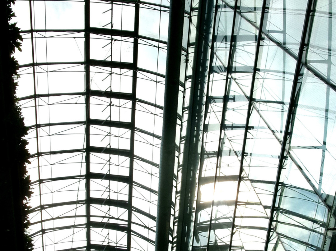 Dům Pánů z Lipé-布尔诺必去景点