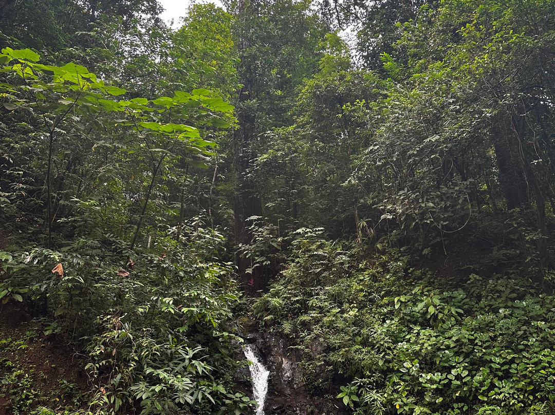 Neofauna Costa Rica-哈科必去景点