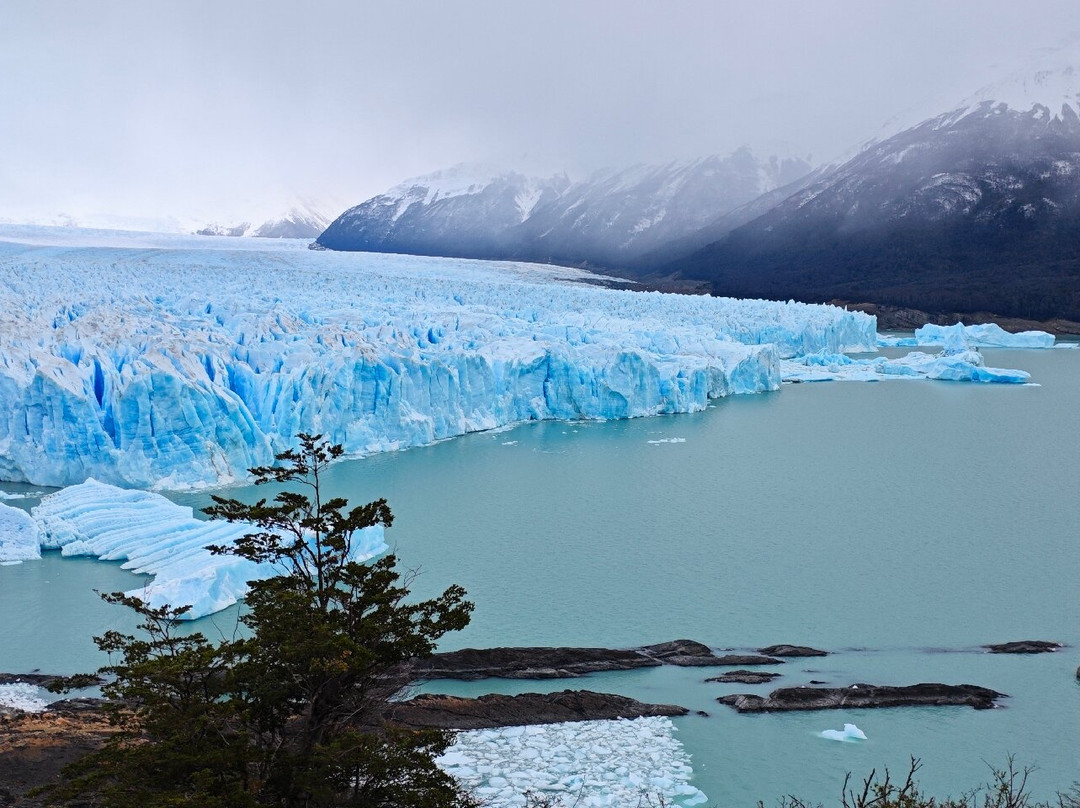 Indigo Sud Traslados privados en El Calafate-埃尔卡拉法特必去景点