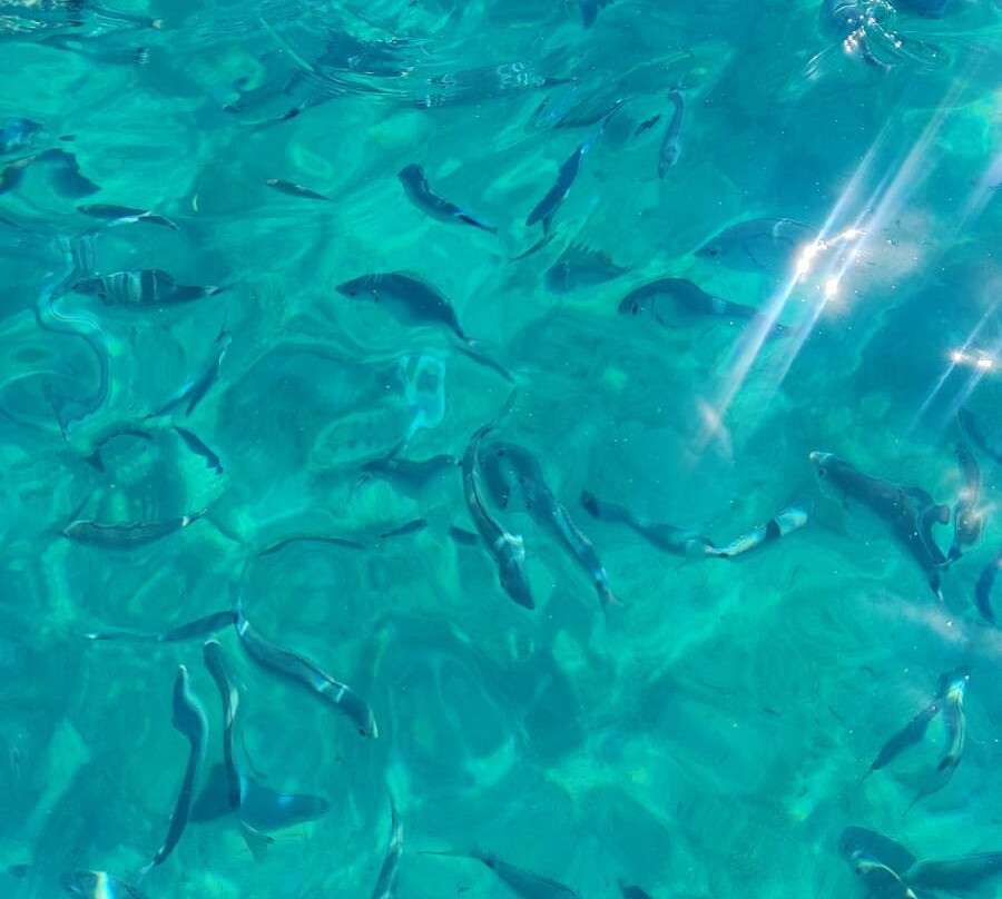 Xperience-Capo Coda Cavallo必去景点