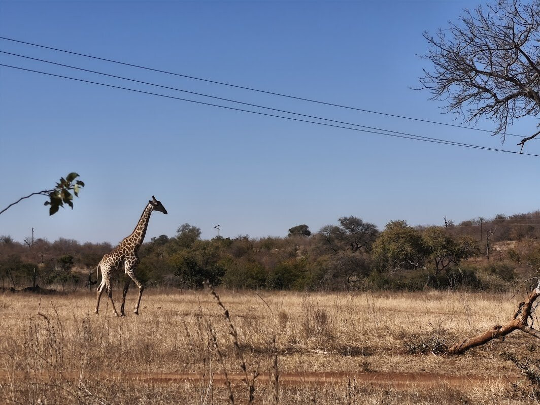 Ngalali Retreat主图