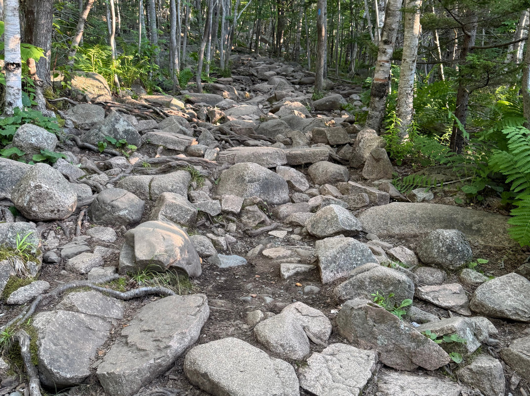 Champlain Mountain & Beehive Loop Trail-阿卡迪亚国家公园必去景点