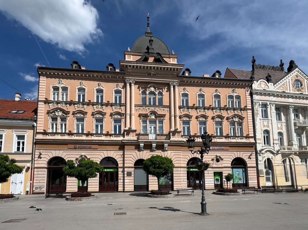 Svetozar Miletic Square-诺维萨德必去景点