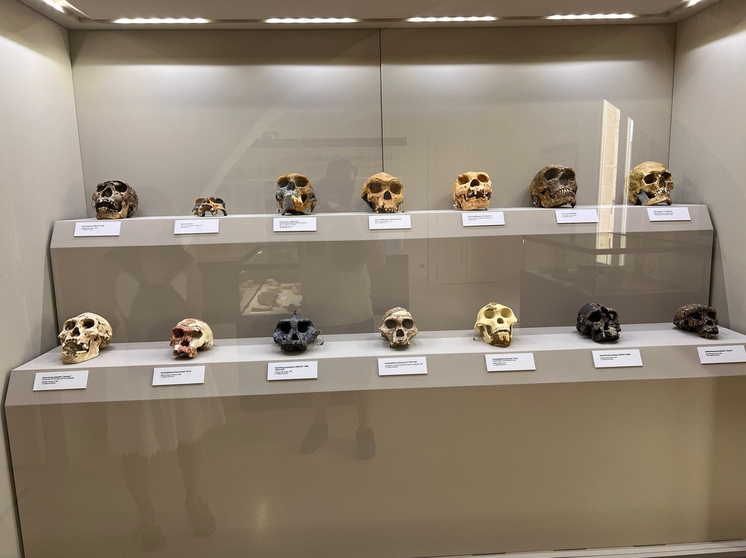 Palazzo Baldassarre-阿尔塔穆拉必去景点