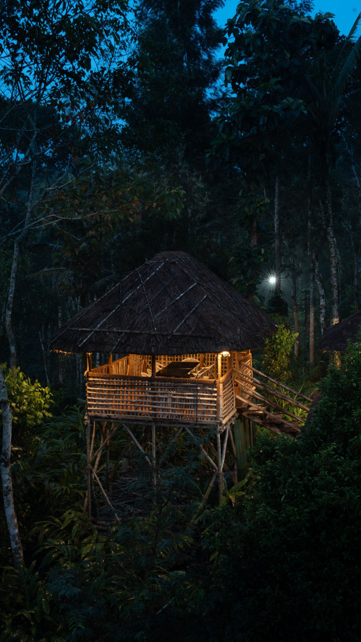 Camel Back Plantation Resort by The Verdant Hospitality-官方