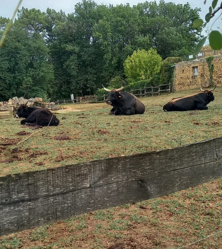 Le Parc Du Thot-Thonac必去景点