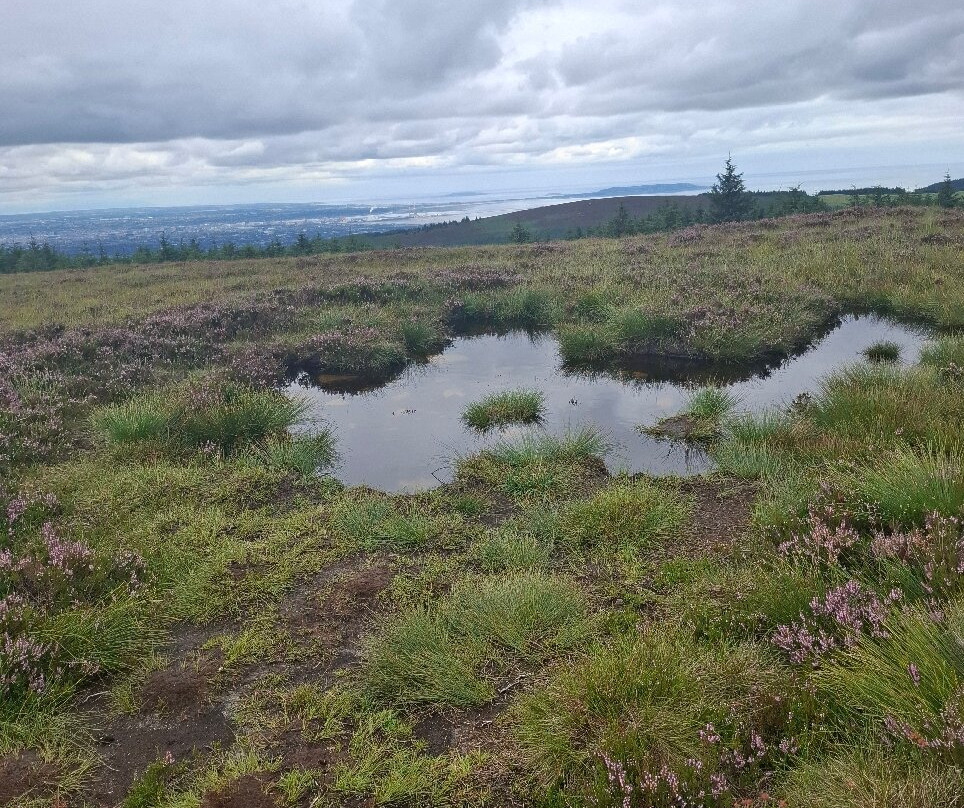 Dublin Mountains Way-塔拉必去景点