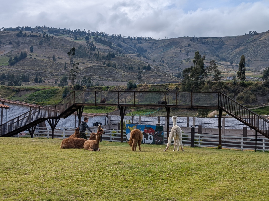 Hacienda Santa Ana Lodging主图