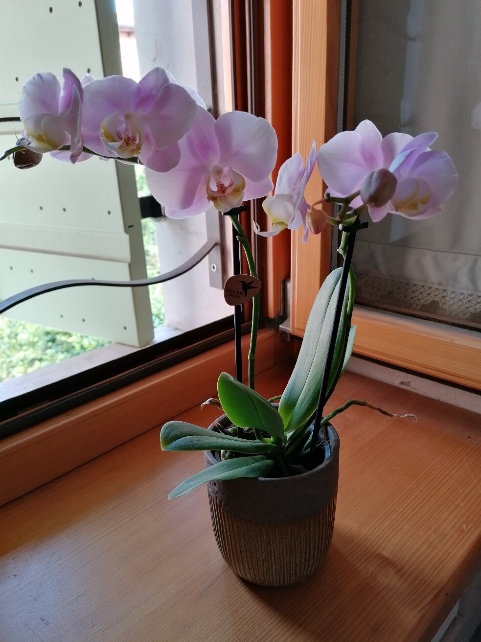 B&B Antico Fienile-官方