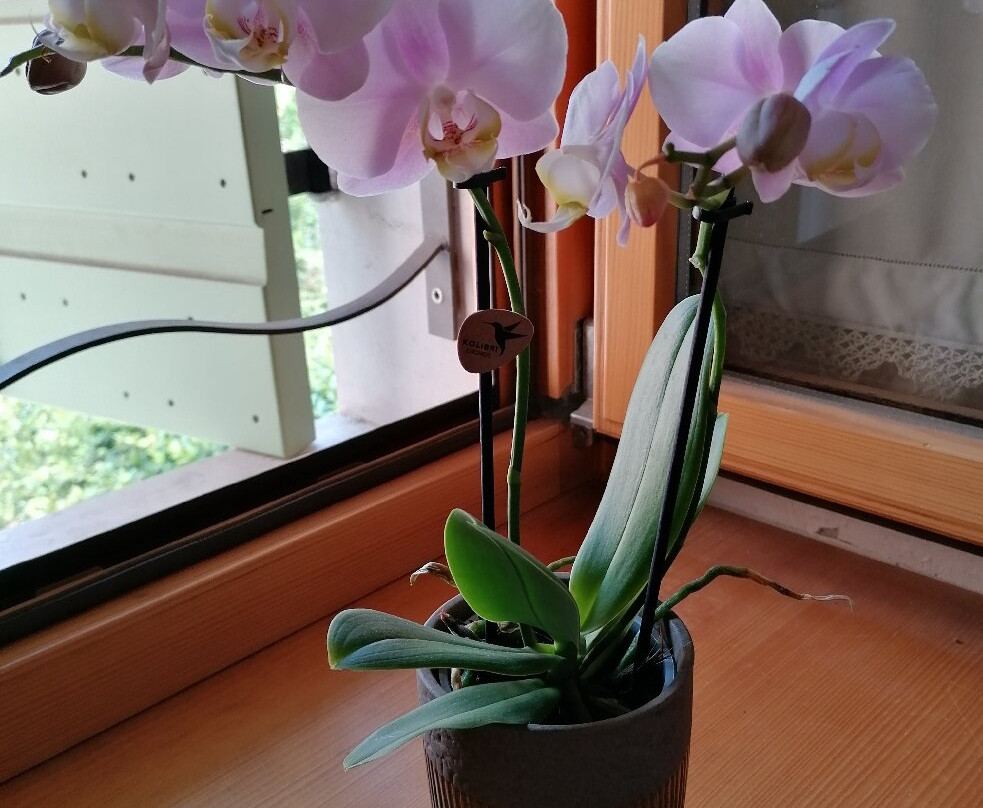 B&B Antico Fienile主图