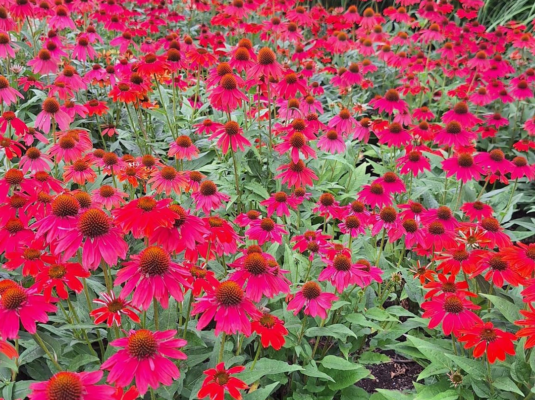 Big Art & Garden / Beelden In Gees-Gees必去景点