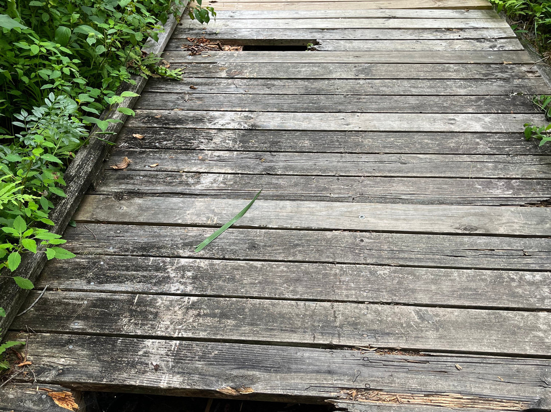 Peacock Beach State Park-Richmond必去景点