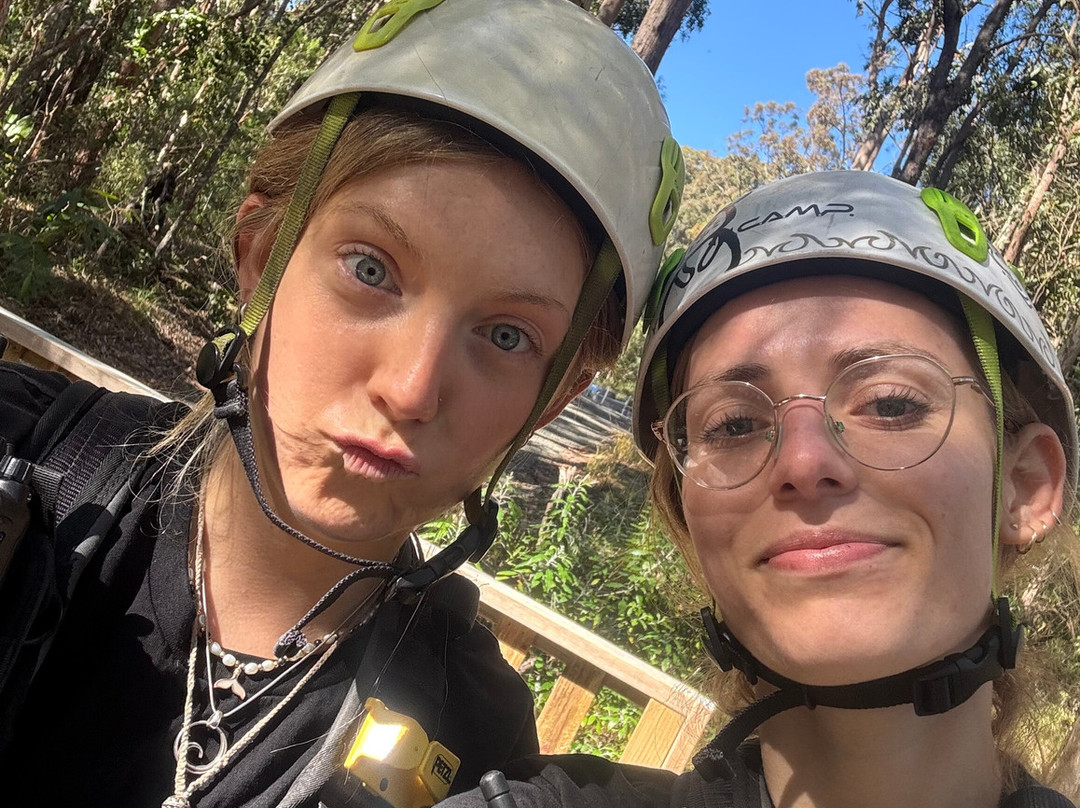 Treetop Challenge - Canyon Flyer-丹百林山必去景点