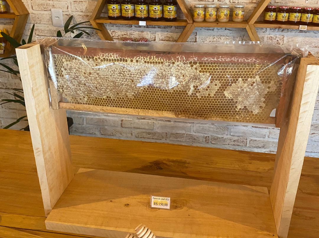 Apiário Flores da Serra-蒙特贝尔德必去景点