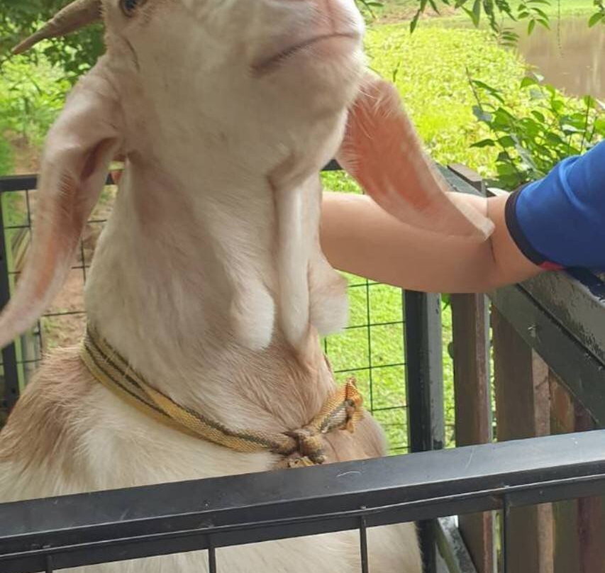 王同自然公园度假村主图