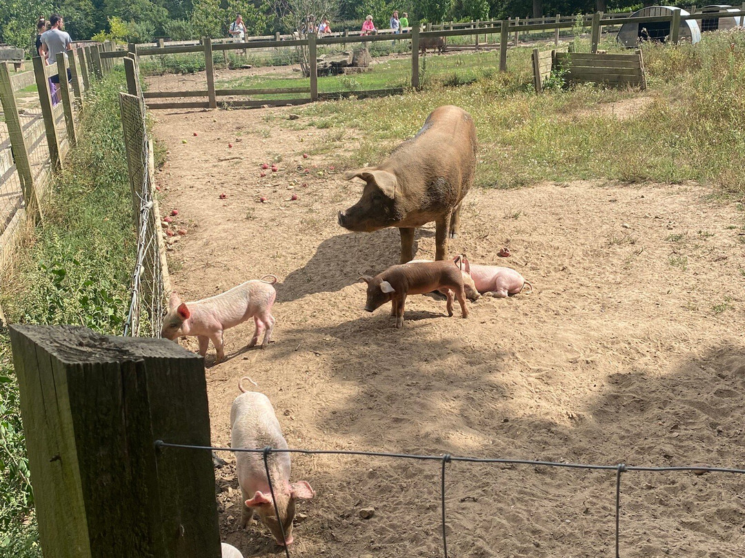 Quarr Abbey-赖德必去景点