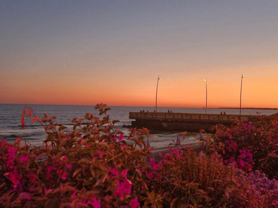 Il Fogliano Hotel New Life主图