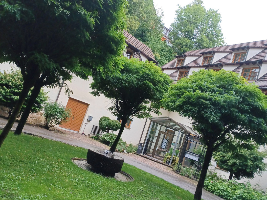 Hotel-Restaurant Bibermuhle主图