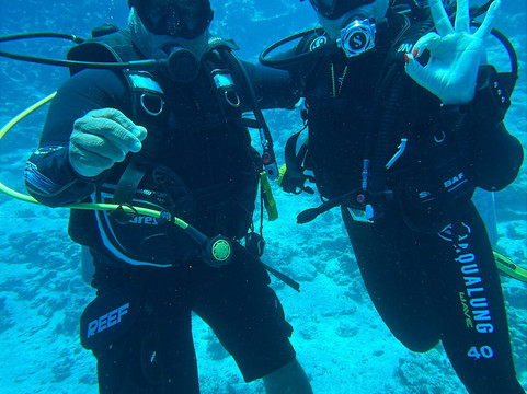 Eagle Divers Egypt-沙姆沙伊赫必去景点