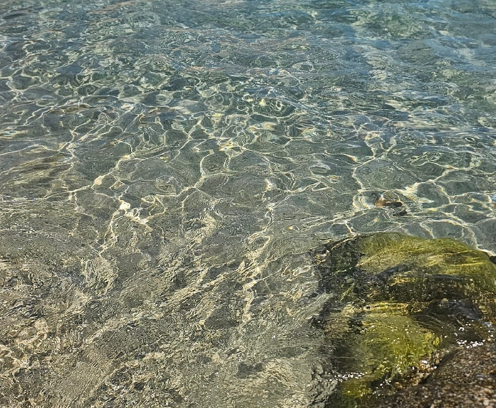 Spiaggia Arenella-Isola del Giglio必去景点