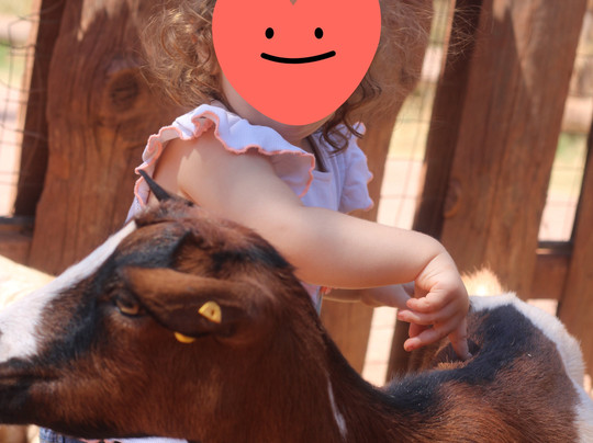 ZooParc du Cannet des Maures-Le Cannet-des-Maures必去景点