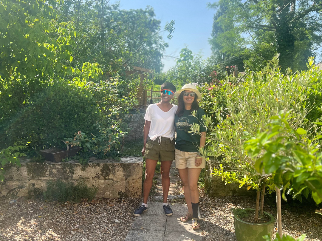 Les Vignes Reines主图