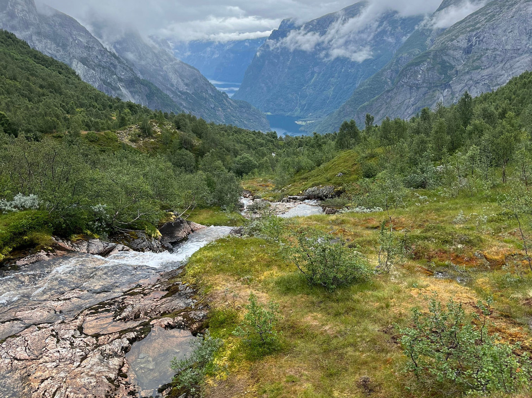 Wild Voss-Vossevangen必去景点