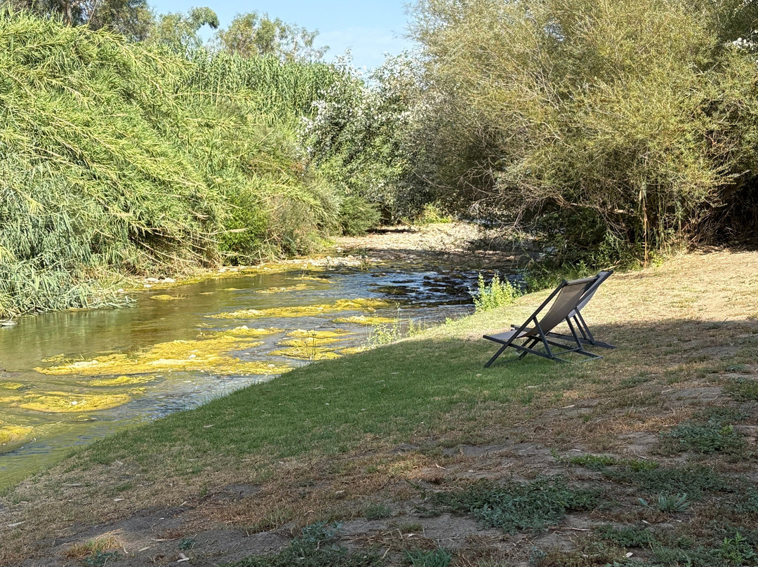 El Molino Santisteban主图