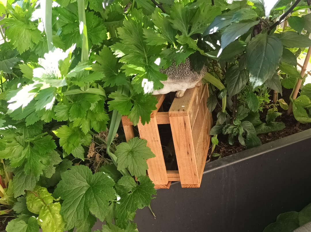 Hotel Zum Lowen-Post主图