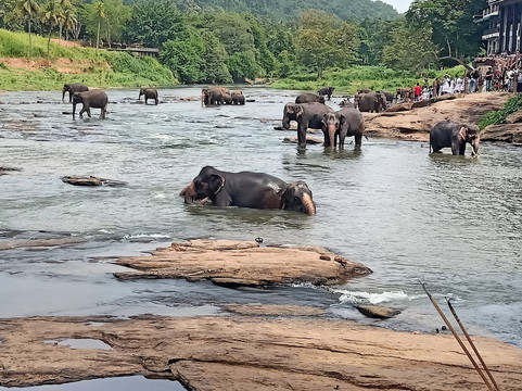 Travelers Arc Sri Lanka-马塔拉必去景点