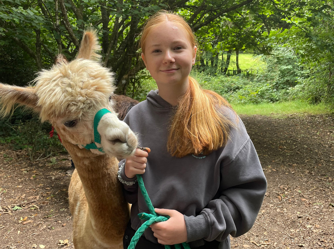 Woolley Animals Farm Park-Winkleigh必去景点