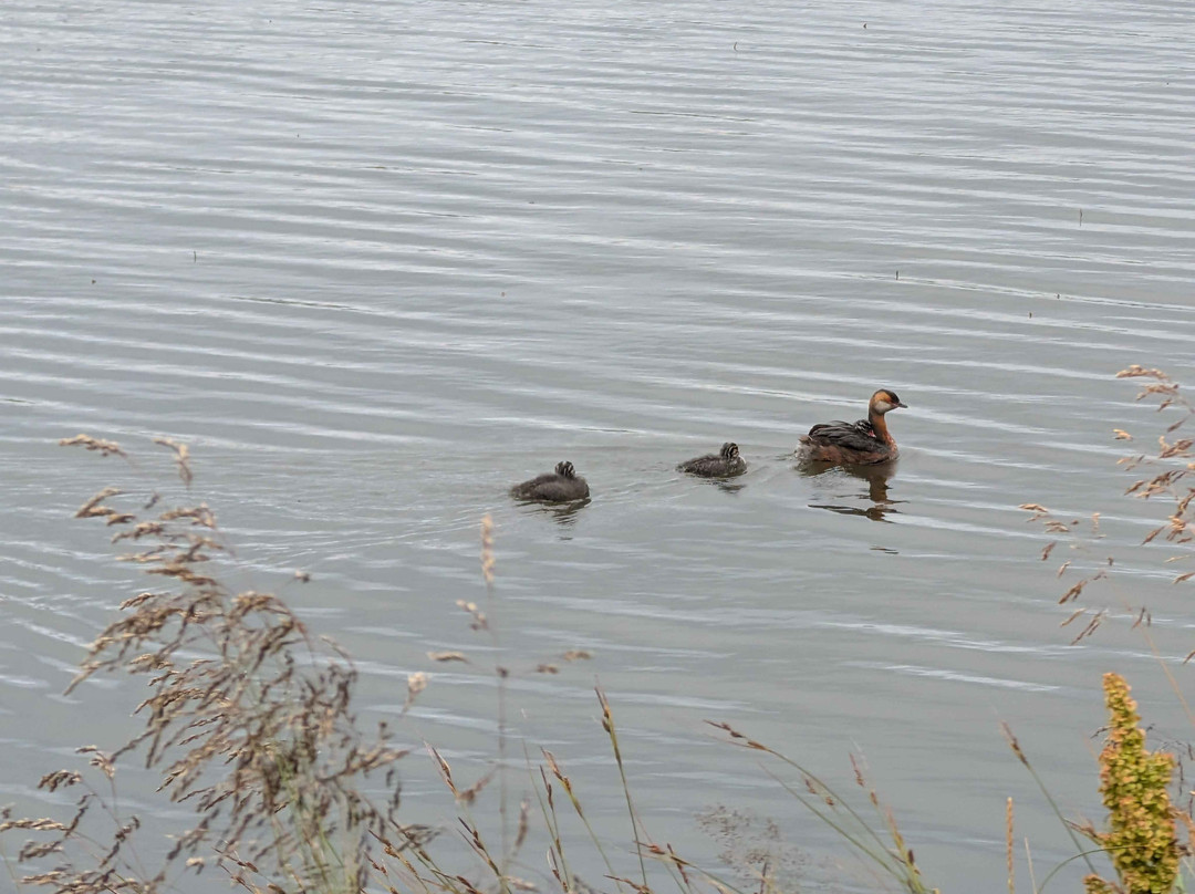 Myvatn Visitor Center-雷克雅里德必去景点