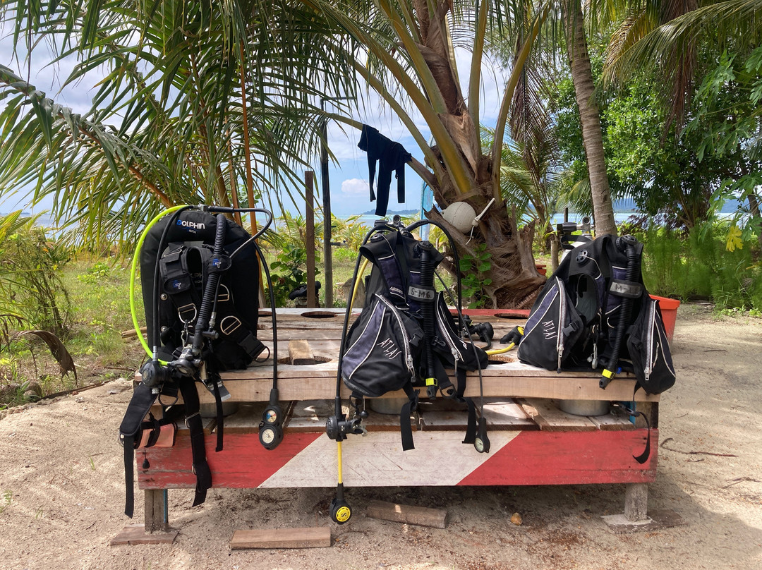 Tailana Island-班达亚齐必去景点