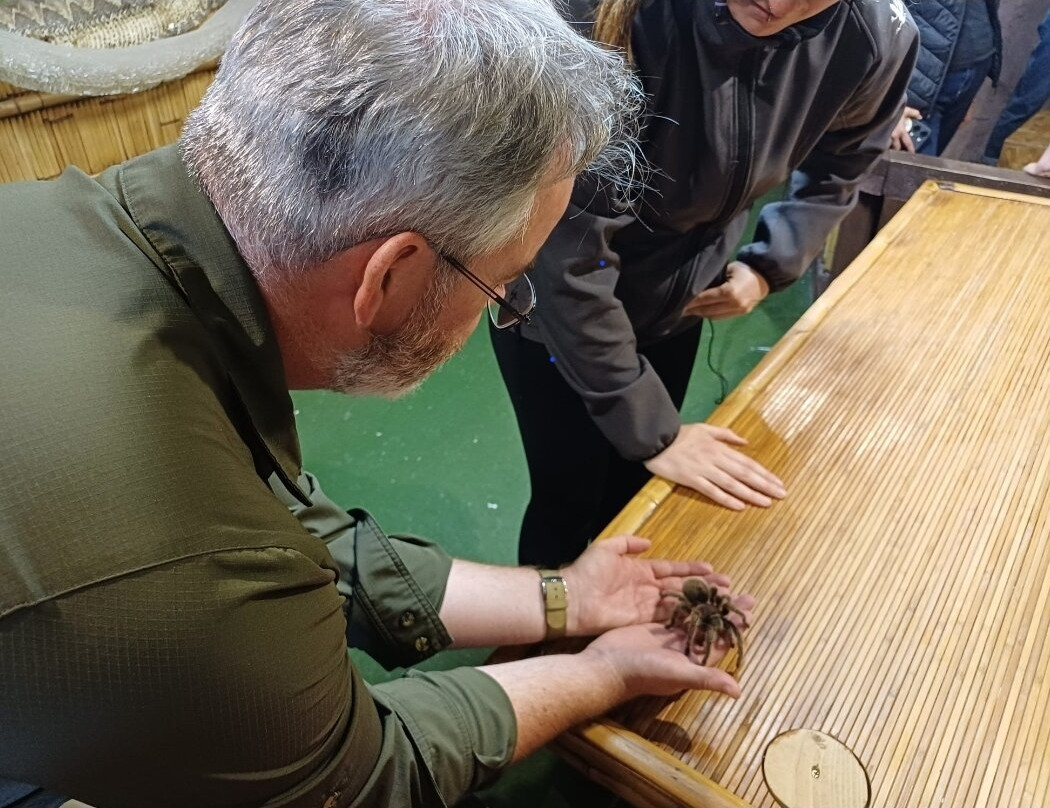 The National Reptile Zoo-基尔肯尼必去景点