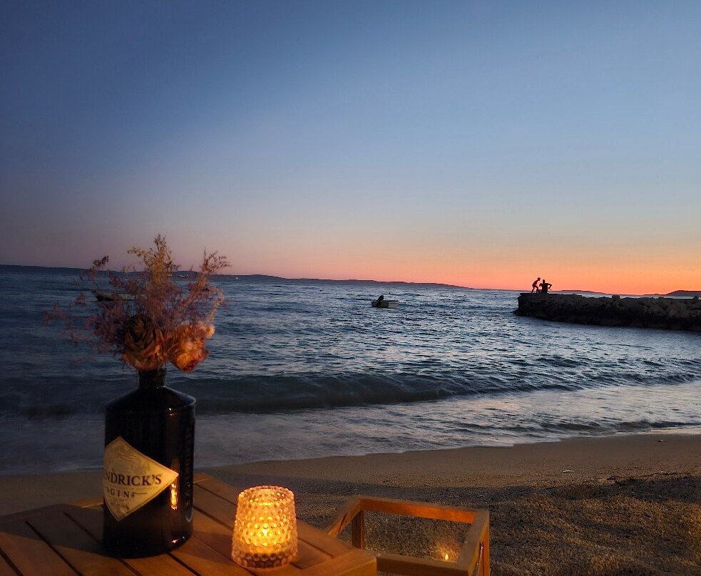 Pansion Martin主图