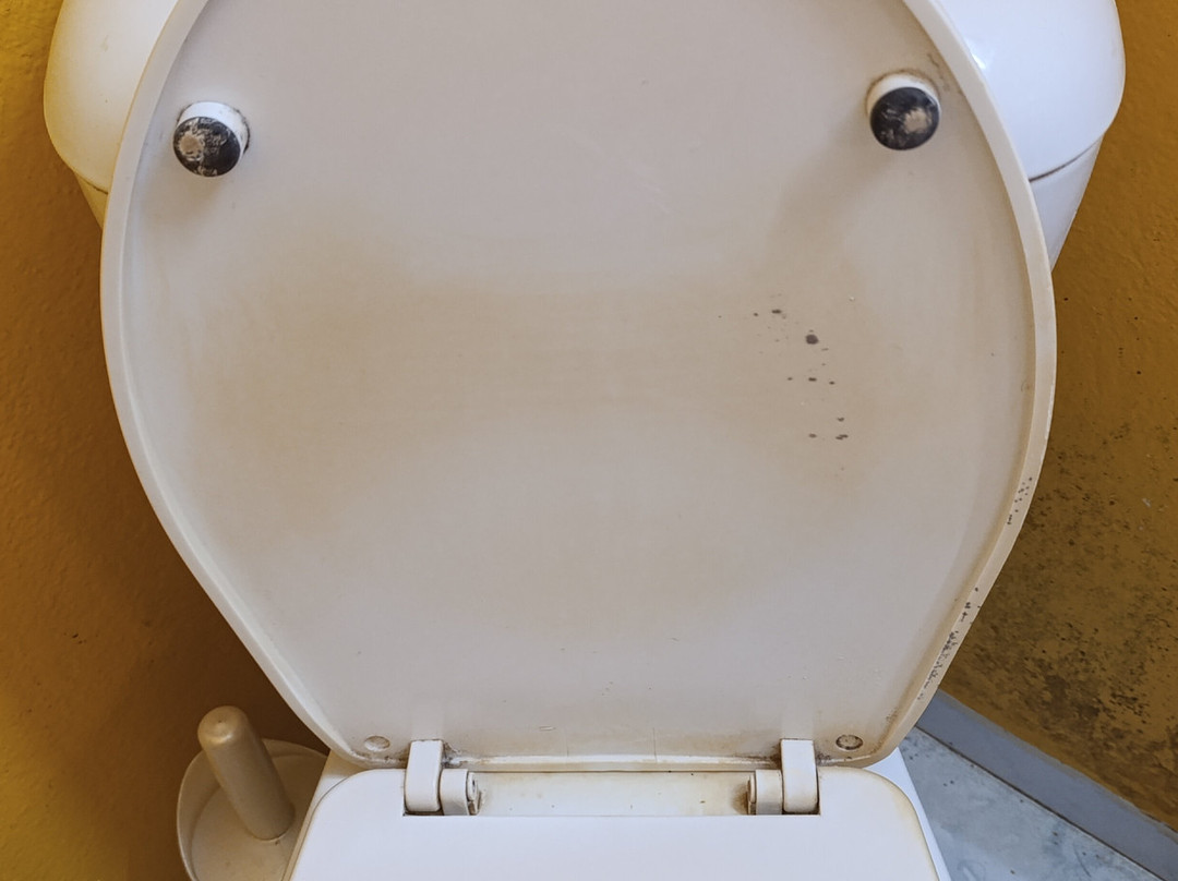 Le Jardin Exotique主图