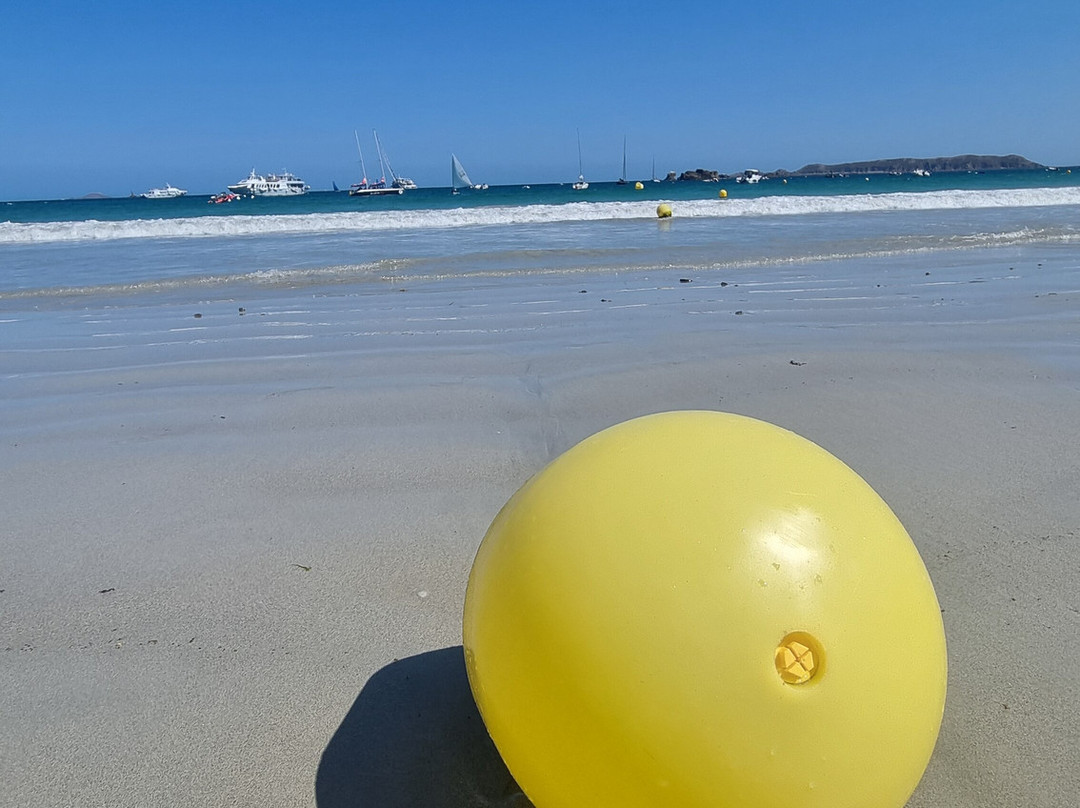 Plage de Trestraou-皮若斯必去景点