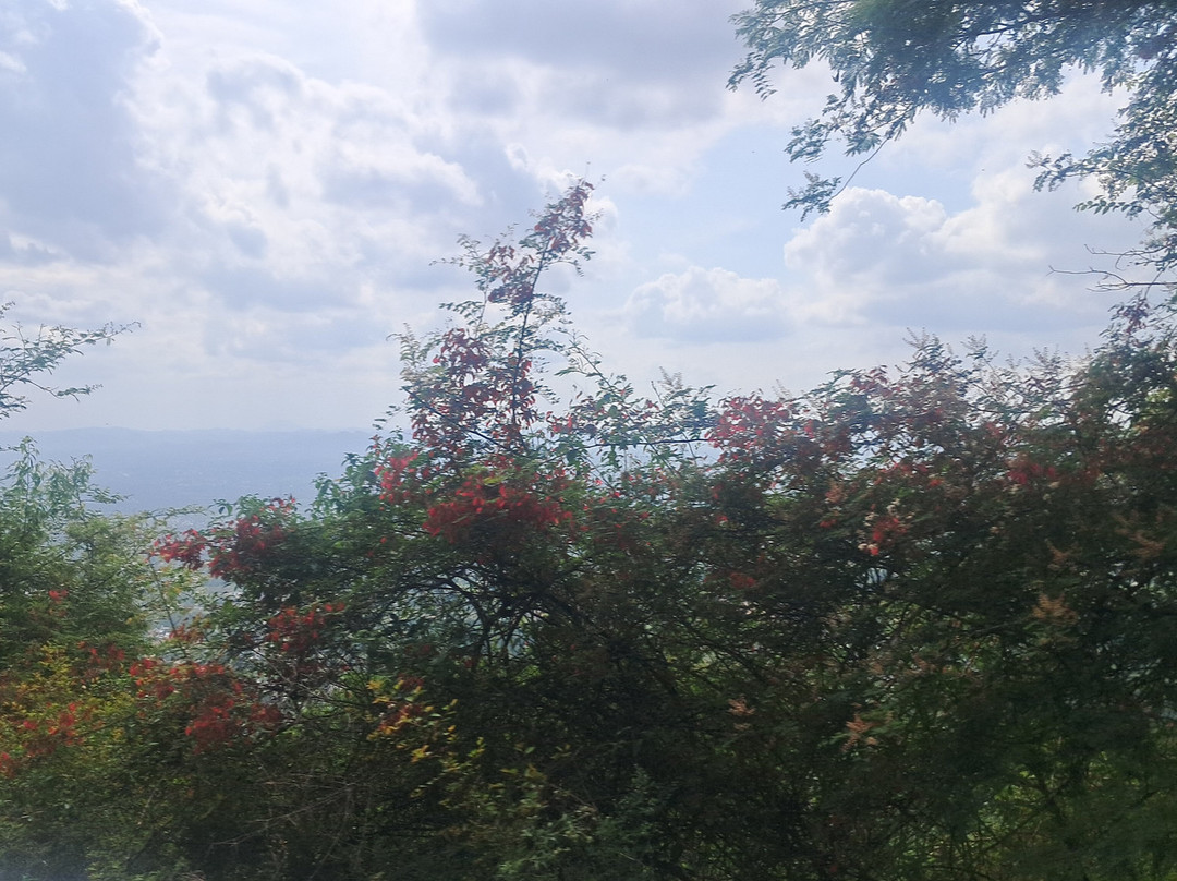 Cloud Forest Entertainment Park-Yelagiri必去景点