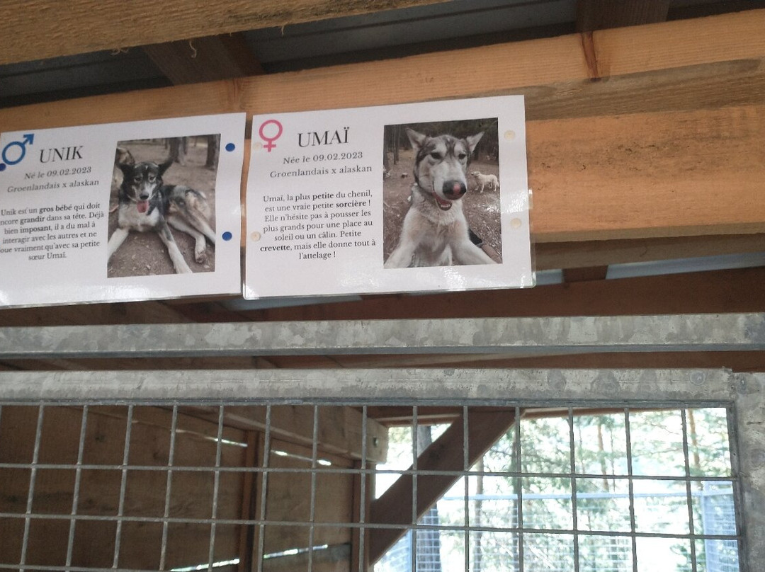 Banquise Traîneau-Saint-Paul-sur-Ubaye必去景点