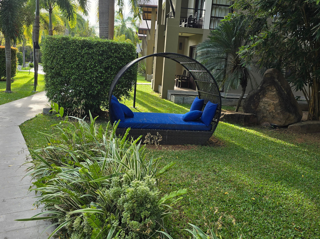 钱德里卡酒店主图