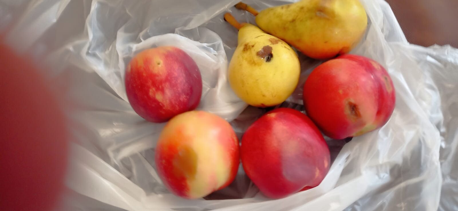 Sport Hotel Terme di Bresimo-官方