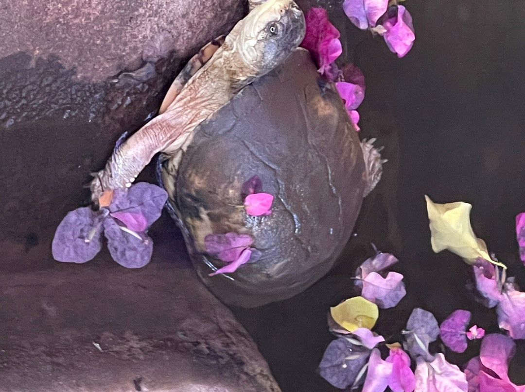 Le Jardin Exotique主图