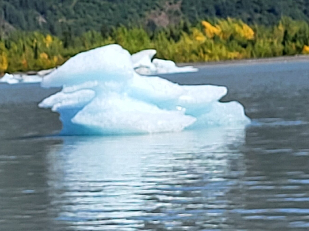 49North Alaskan Adventures-荷马必去景点