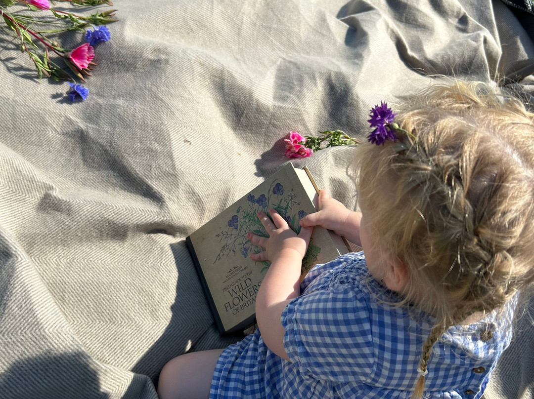 Wild Acres Cumbria-彭里斯必去景点