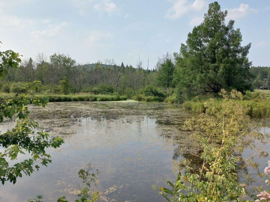 Beaverbrook Golf Course-Minden必去景点
