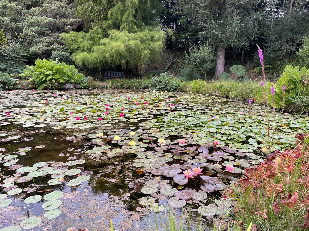 Bennetts Water Gardens-Chickerell必去景点