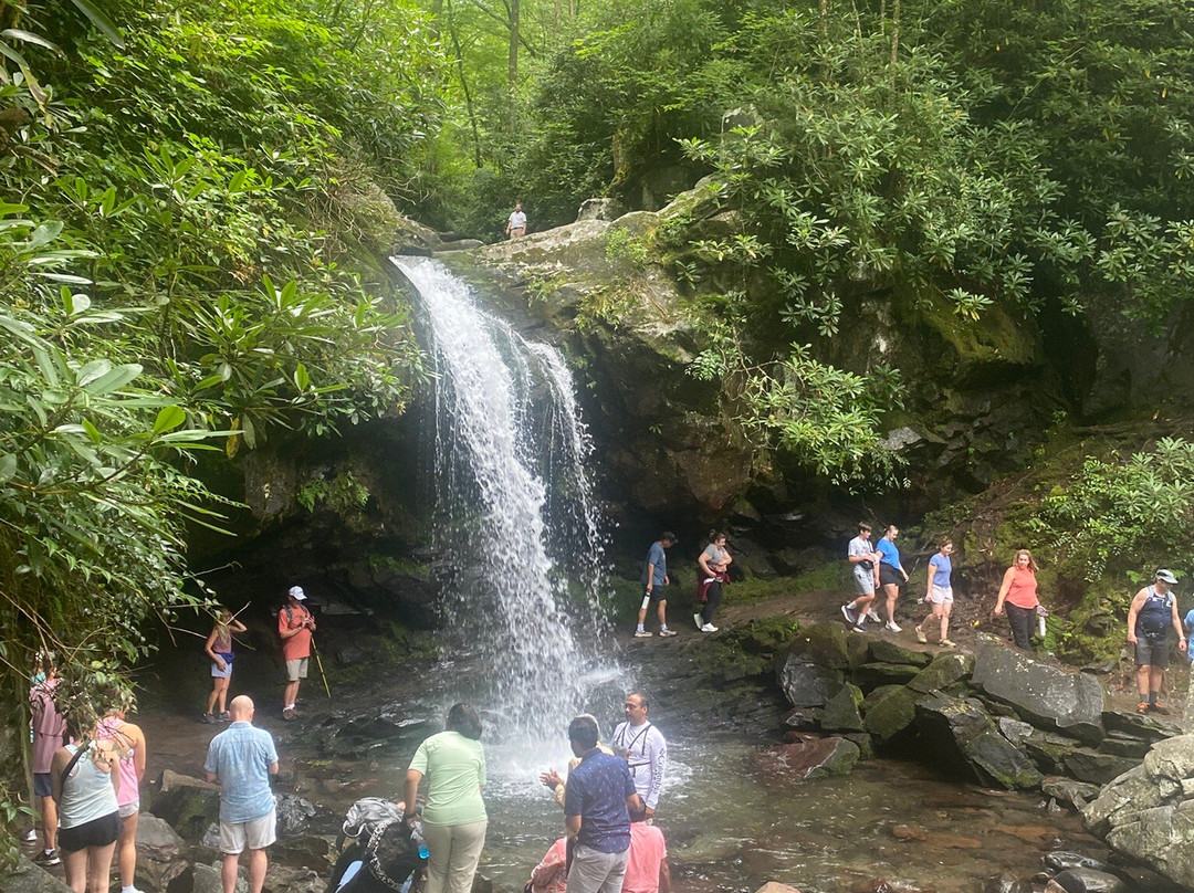Grotto Falls Trail-大雾山国家公园必去景点