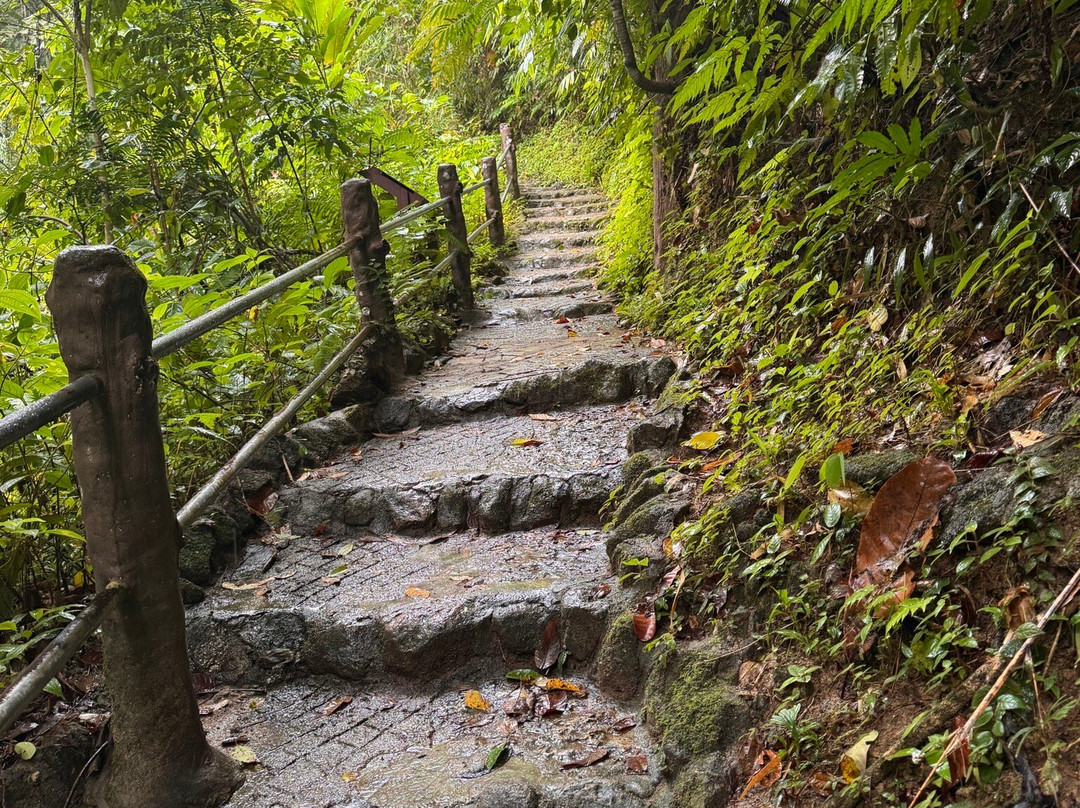 Ton Chong Fa Waterfall-拉克山必去景点