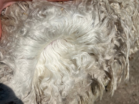 Bozedown Alapcas-雷丁必去景点