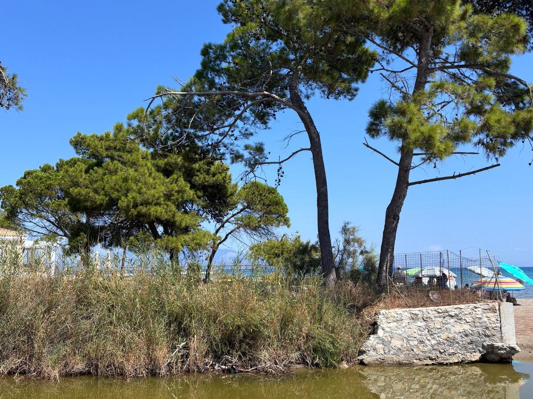 Alykes Beach-阿雷克斯必去景点